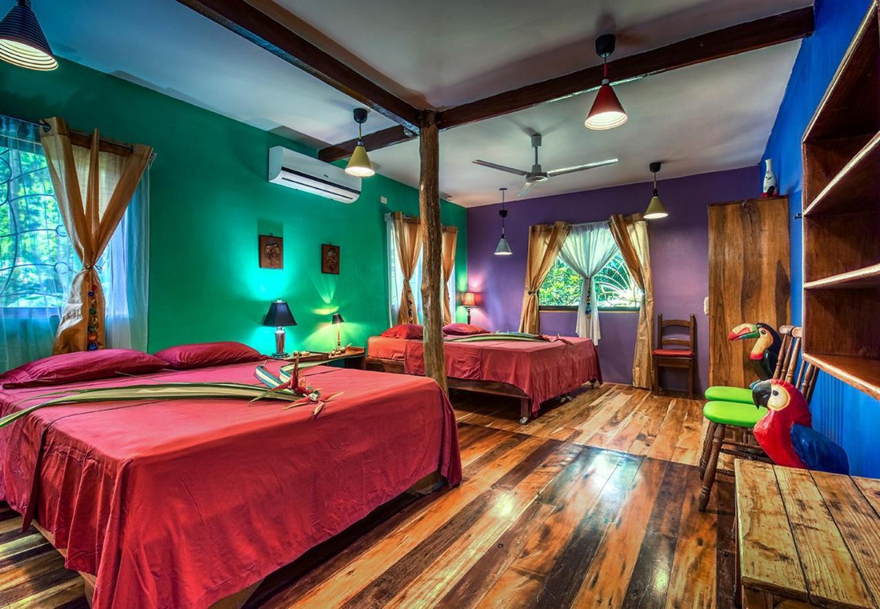 Congo Bongo Ecovillage Costa Rica Puerto Viejo de Talamanca 외부 사진