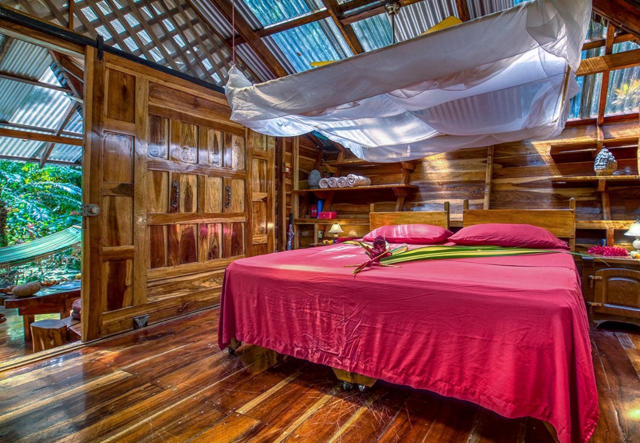 Congo Bongo Ecovillage Costa Rica Puerto Viejo de Talamanca 외부 사진