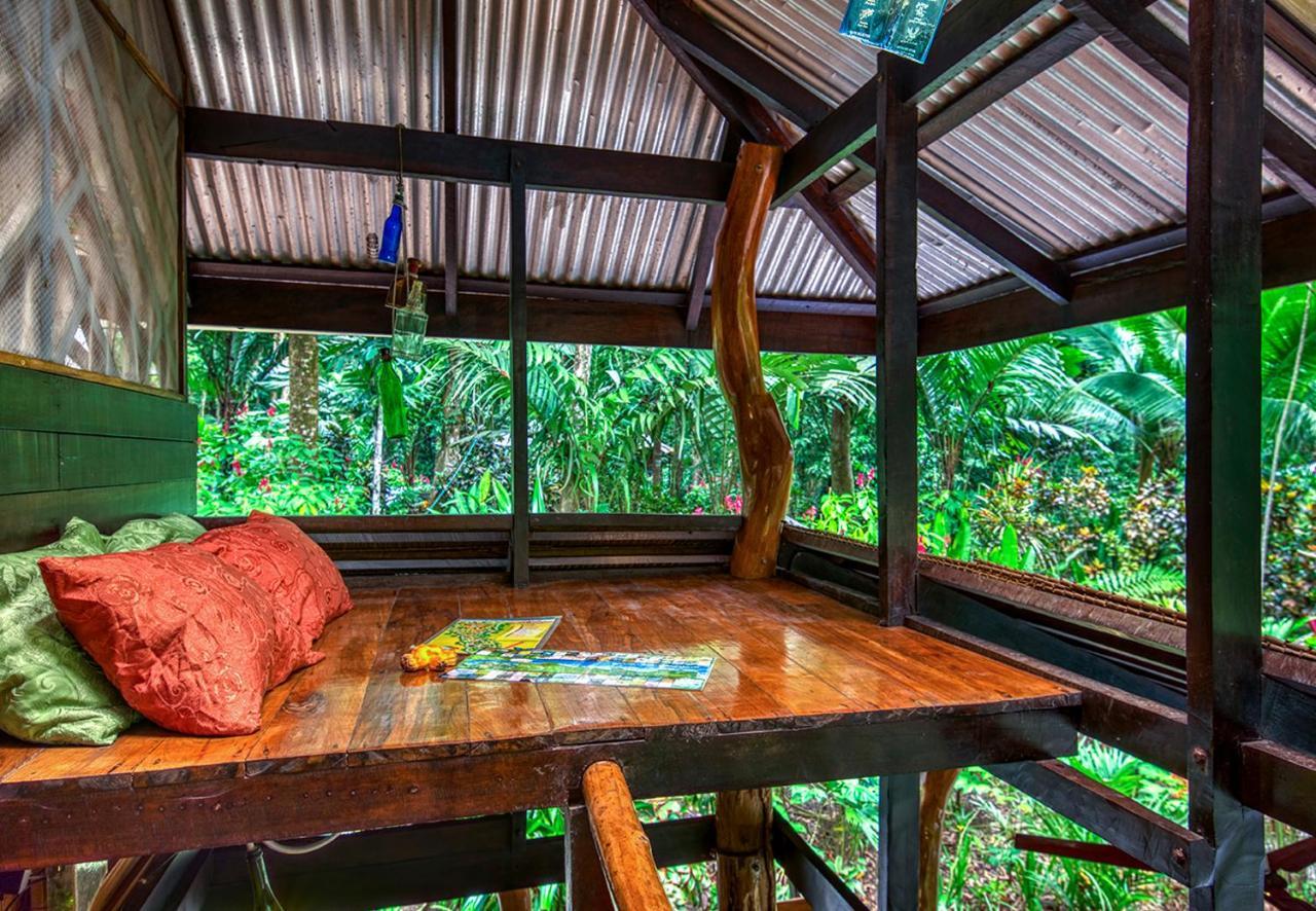 Congo Bongo Ecovillage Costa Rica Puerto Viejo de Talamanca 외부 사진