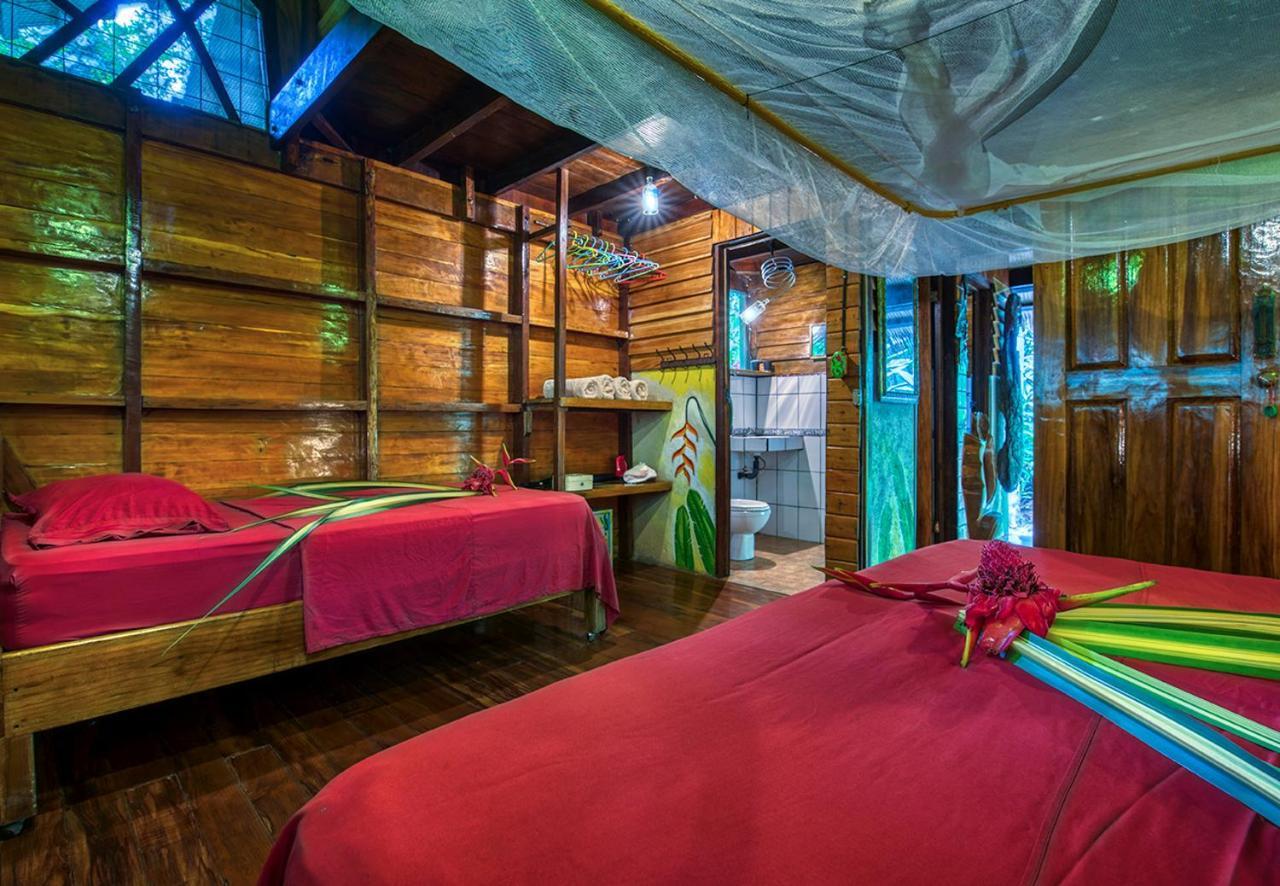 Congo Bongo Ecovillage Costa Rica Puerto Viejo de Talamanca 외부 사진