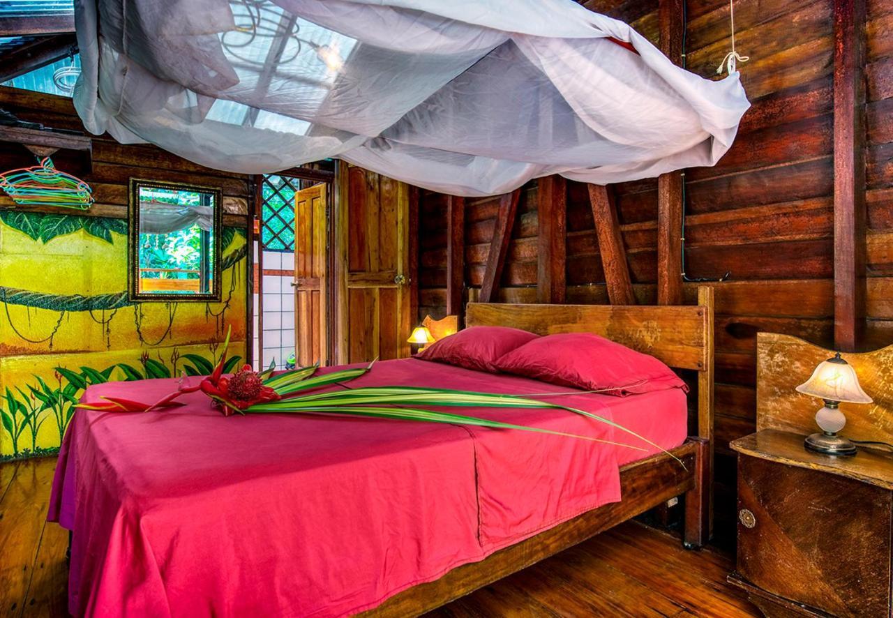 Congo Bongo Ecovillage Costa Rica Puerto Viejo de Talamanca 외부 사진