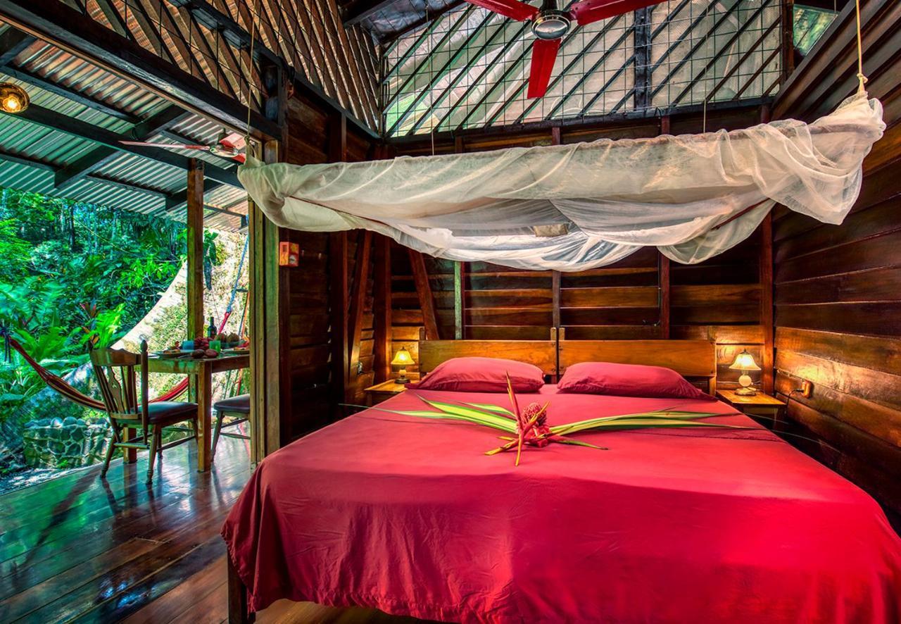 Congo Bongo Ecovillage Costa Rica Puerto Viejo de Talamanca 외부 사진