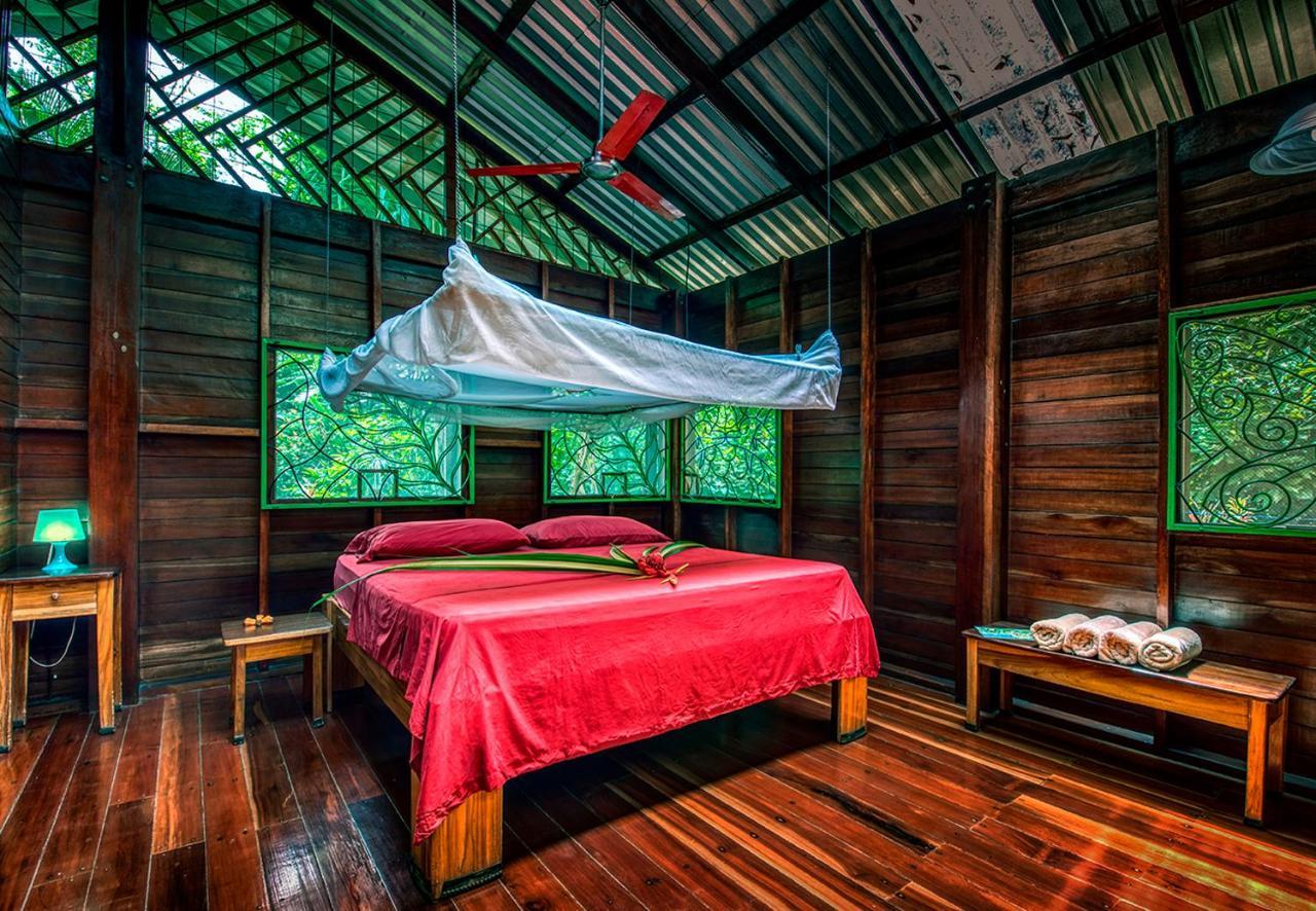Congo Bongo Ecovillage Costa Rica Puerto Viejo de Talamanca 외부 사진