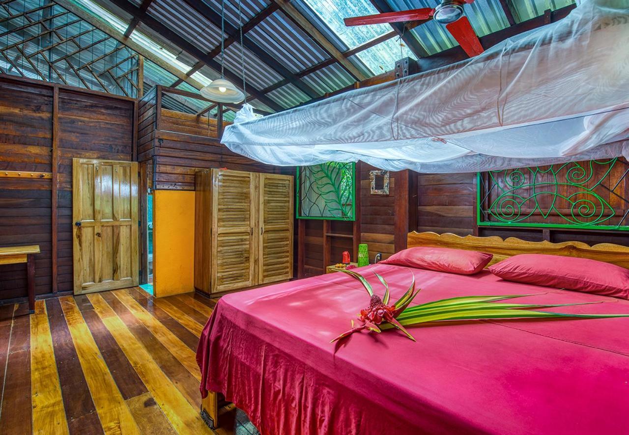 Congo Bongo Ecovillage Costa Rica Puerto Viejo de Talamanca 외부 사진