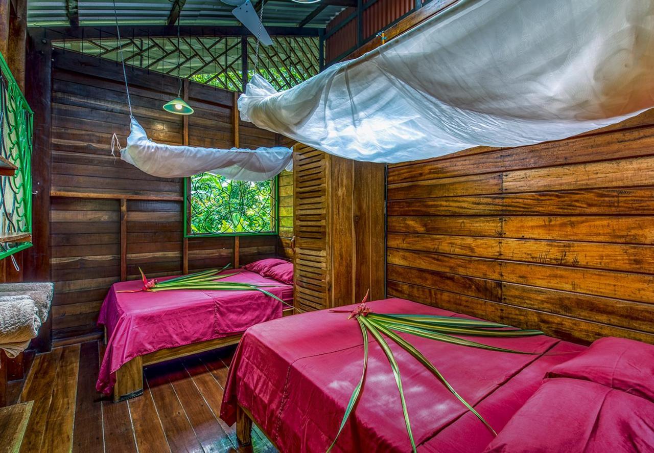 Congo Bongo Ecovillage Costa Rica Puerto Viejo de Talamanca 외부 사진